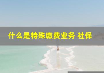 什么是特殊缴费业务 社保